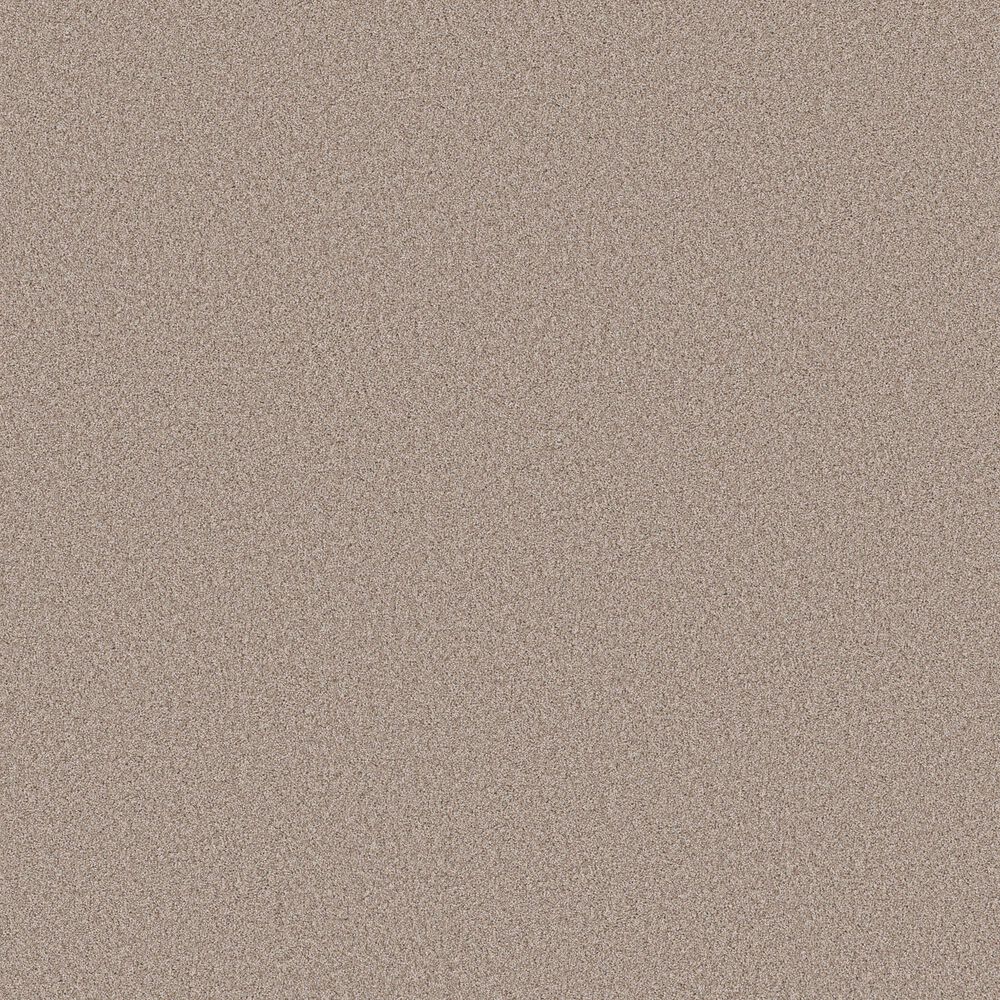 Shaw Pure Affection T Carpet in Baja, , large