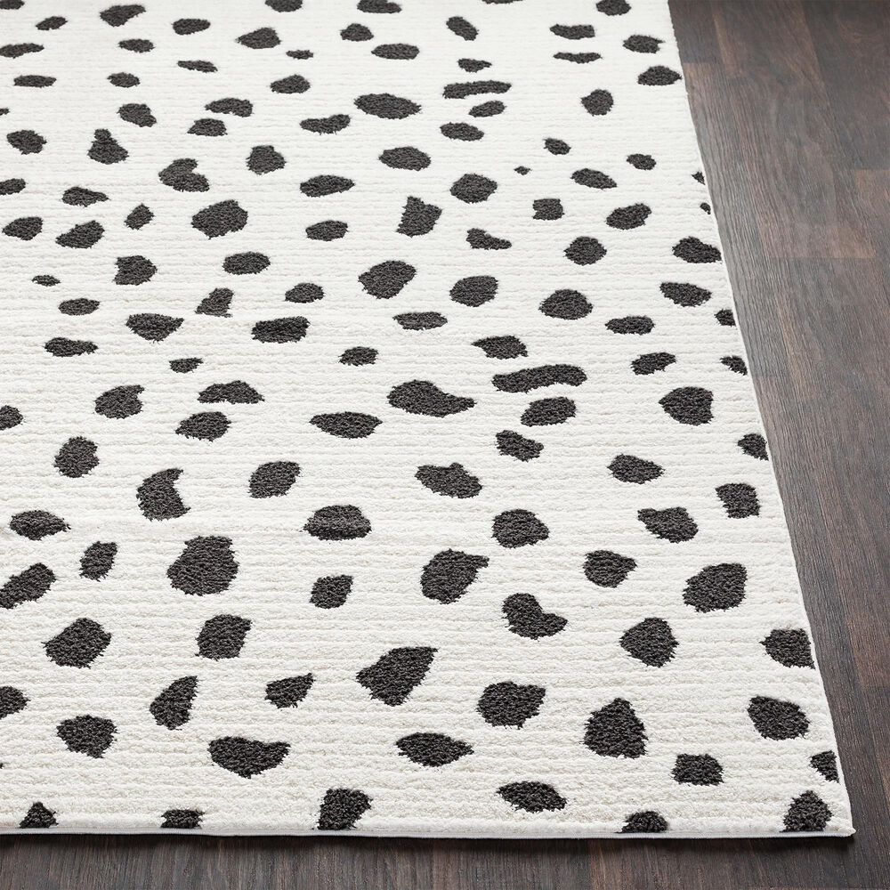 Surya Moroccan Shag MCS-2307 2&#39; x 3&#39; Black and White Area Rug, , large