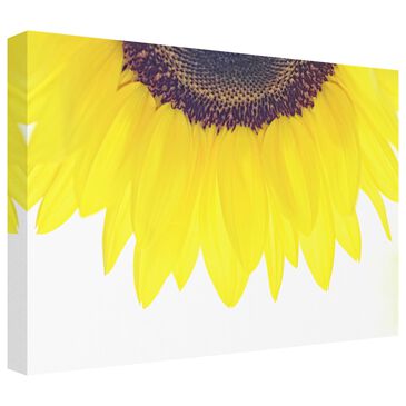 Timberlake Beata Czyzowska "Sunflower" 16" x 24" Canvas Art in Yellow/White/Grey/Brown, , large