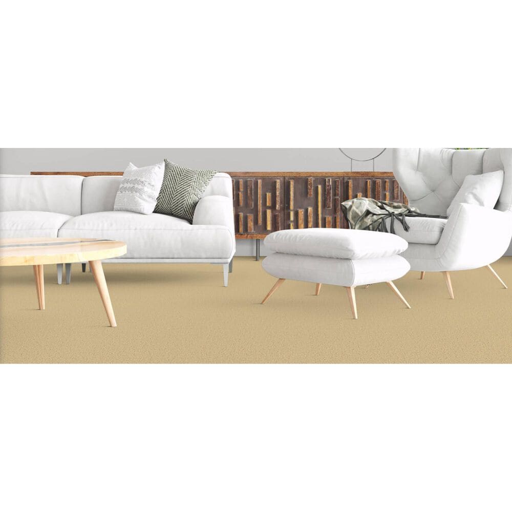 Masland Miami Carpet in Honey Harbor, , large