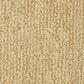 Masland Mesa Verde Carpet in Somerset, , large