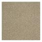 Shaw Phenomenal Carpet in Wool Skein, , large