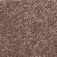 Shaw Simply the Best Momentum II Carpet in Farmhouse, , large