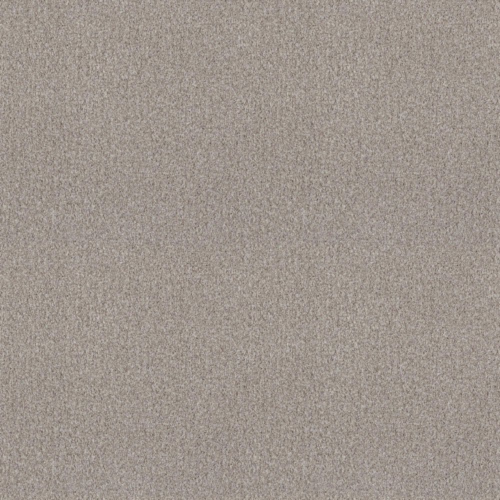 Shaw Comforting I Carpet in French Buff, , large