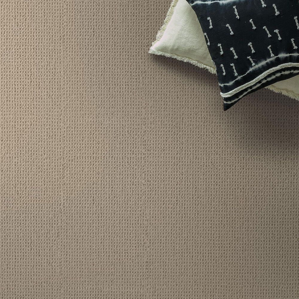 Anderson Tuftex Arden Park Carpet in Authentic, , large