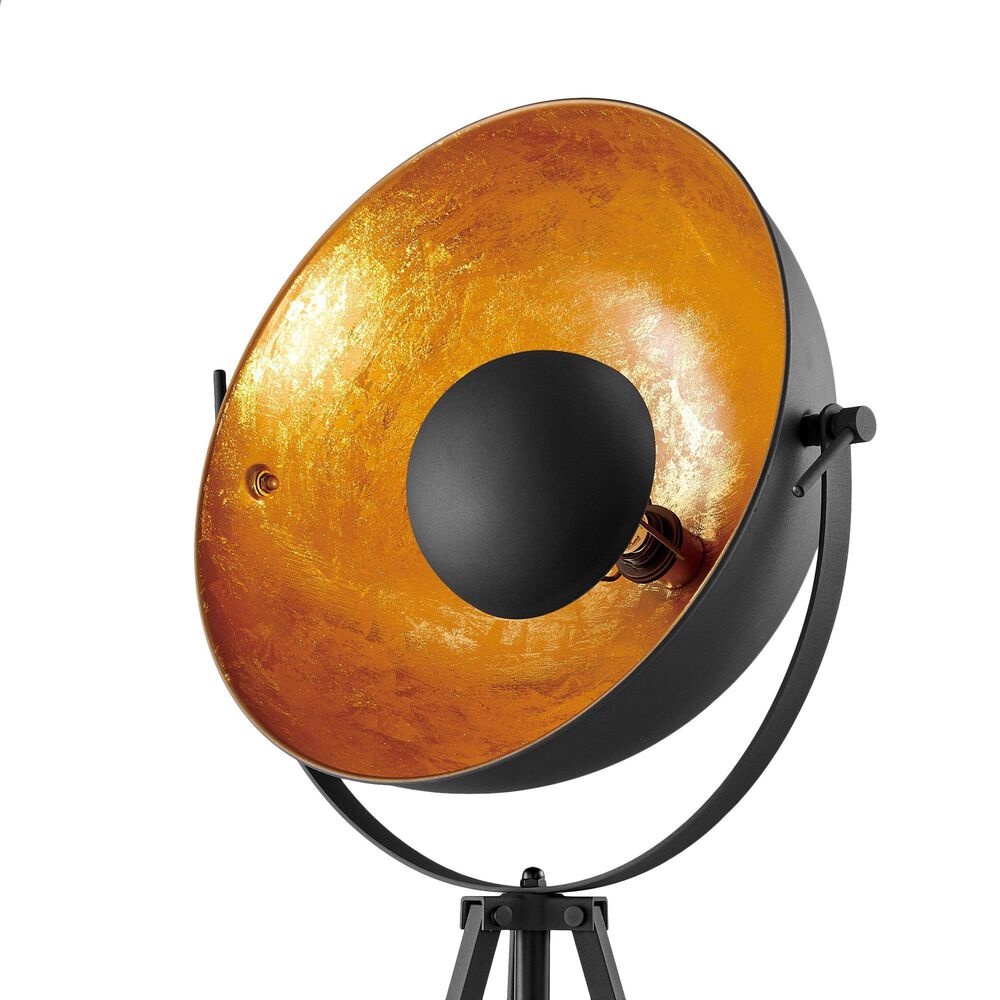 Lite Source Gothard Floor Lamp in Black and Aged Gold, , large