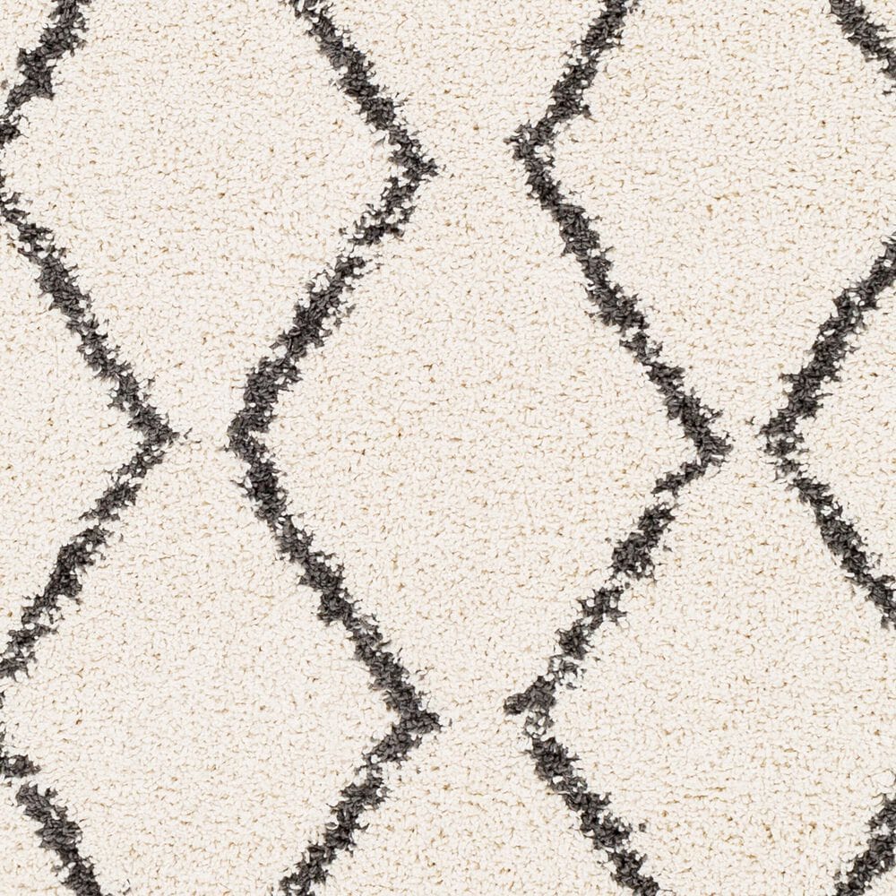 Surya Berber Shag BBE2303 7&#39;10&quot; x 10&#39;2&quot; Charcoal and Light Beige Area Rug, , large