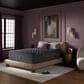 Simmons World Class Level Four Firm Pillow Top Twin XL Mattress with Low Profile Box Spring, , large