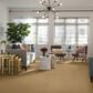 Anderson Tuftex Off Leash Carpet in Cork, , large
