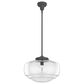 Hunter Saddle Creek 16" 1-Light Pendant with Clear Seeded Shade in Noble Bronze, , large