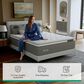 Novilla Vela 12" Medium Queen Mattress in a Box, , large