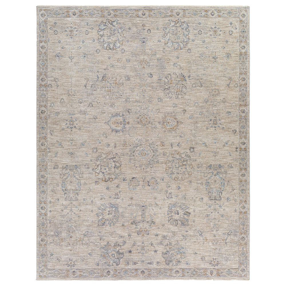 Surya Avant Garde 10" x 14" Gray, Beige and Denim Area Rug, , large