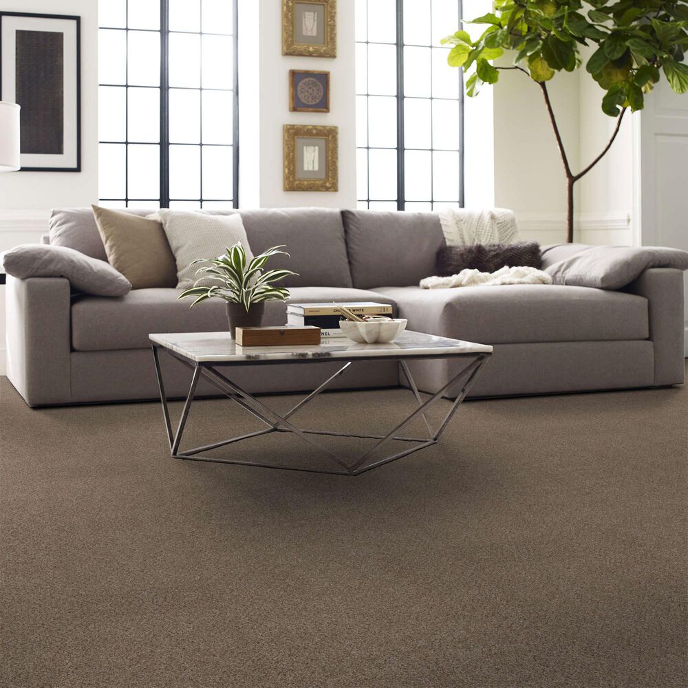 Shaw Abilene II Carpet in Arrowhead, , large