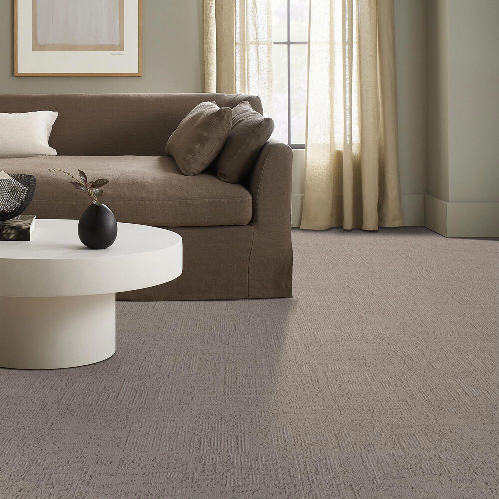 Anderson Tuftex Discover Carpet in Pebble Bath, , large
