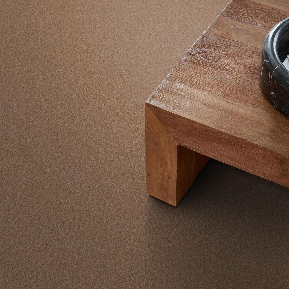 Shaw Tonal Comfort I Carpet in Terracotta Pot, , large
