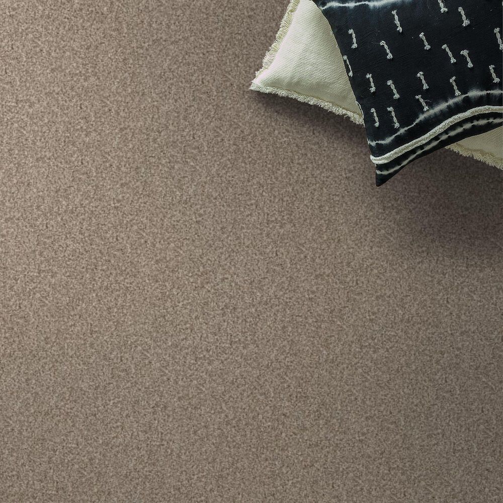 Anderson Tuftex Terra Nova Carpet in Meditation, , large
