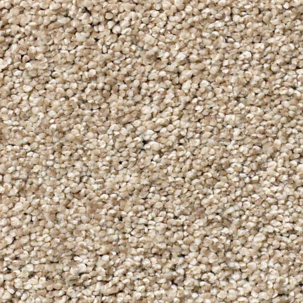 Shaw Find Your Comfort TT I Carpet in Walk on The Beach, , large