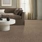 Anderson Tuftex Trace Carpet in Woodgrain, , large