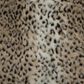 Vista Haus Kasbah 3-Piece King Duvet Set in Brown, , large