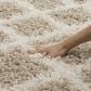 Safavieh Dallas Shag SGD258D-26 2"3" x 6" Beige/Ivory Runner, , large