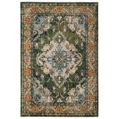 Safavieh Monaco MNC243F-10 10ft x 14ft Forest Green/Light Blue Area Rug
