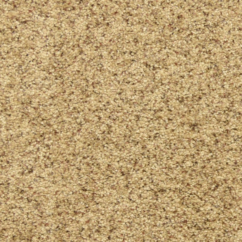 Dixie Home Debut Carpet in Pepper Spice, , large
