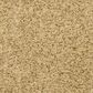 Dixie Home Debut Carpet in Pepper Spice, , large