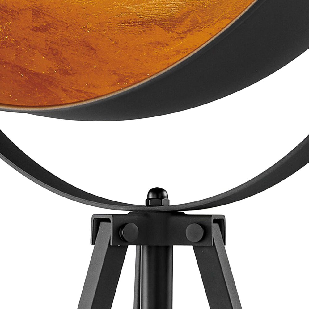 Lite Source Gothard Floor Lamp in Black and Aged Gold, , large