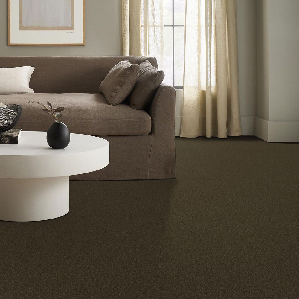 Anderson Tuftex Enduring Charm Carpet in Dark Olive, , large