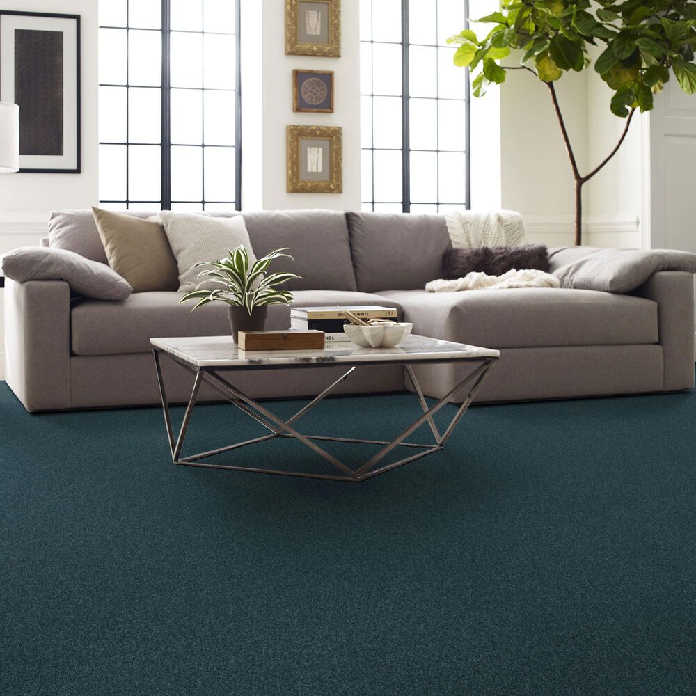 Shaw Comforting I Carpet in Tailwind, , large