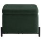 Lifestyle Solutions Kona Small Storage Ottoman in Green, , large