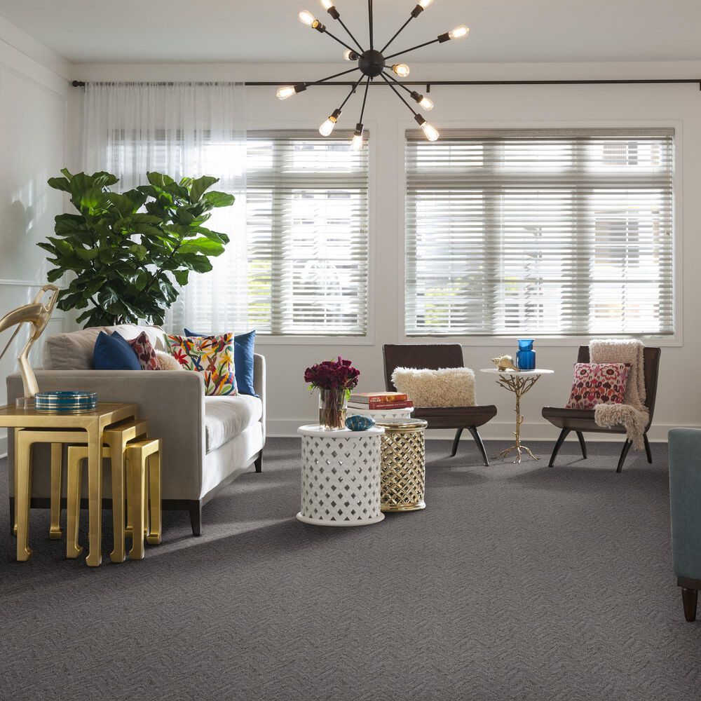 Anderson Tuftex Lavish Living Carpet in Grounded Gray, , large