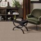 Anderson Tuftex Bali Carpet in Big Stone, , large