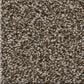 Shaw Renewed Energy II Carpet in Fence Post, , large