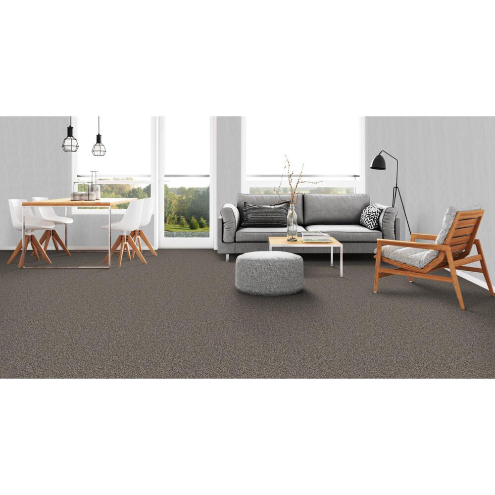 Dixie Home Admire Carpet in Hematite, , large