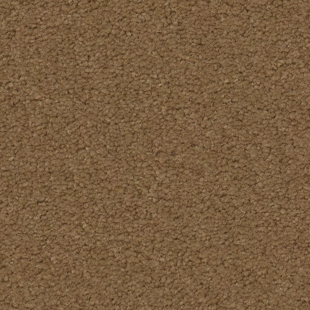 Anderson Tuftex Finery Carpet in Candied Pecan, , large