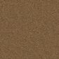 Anderson Tuftex Finery Carpet in Candied Pecan, , large