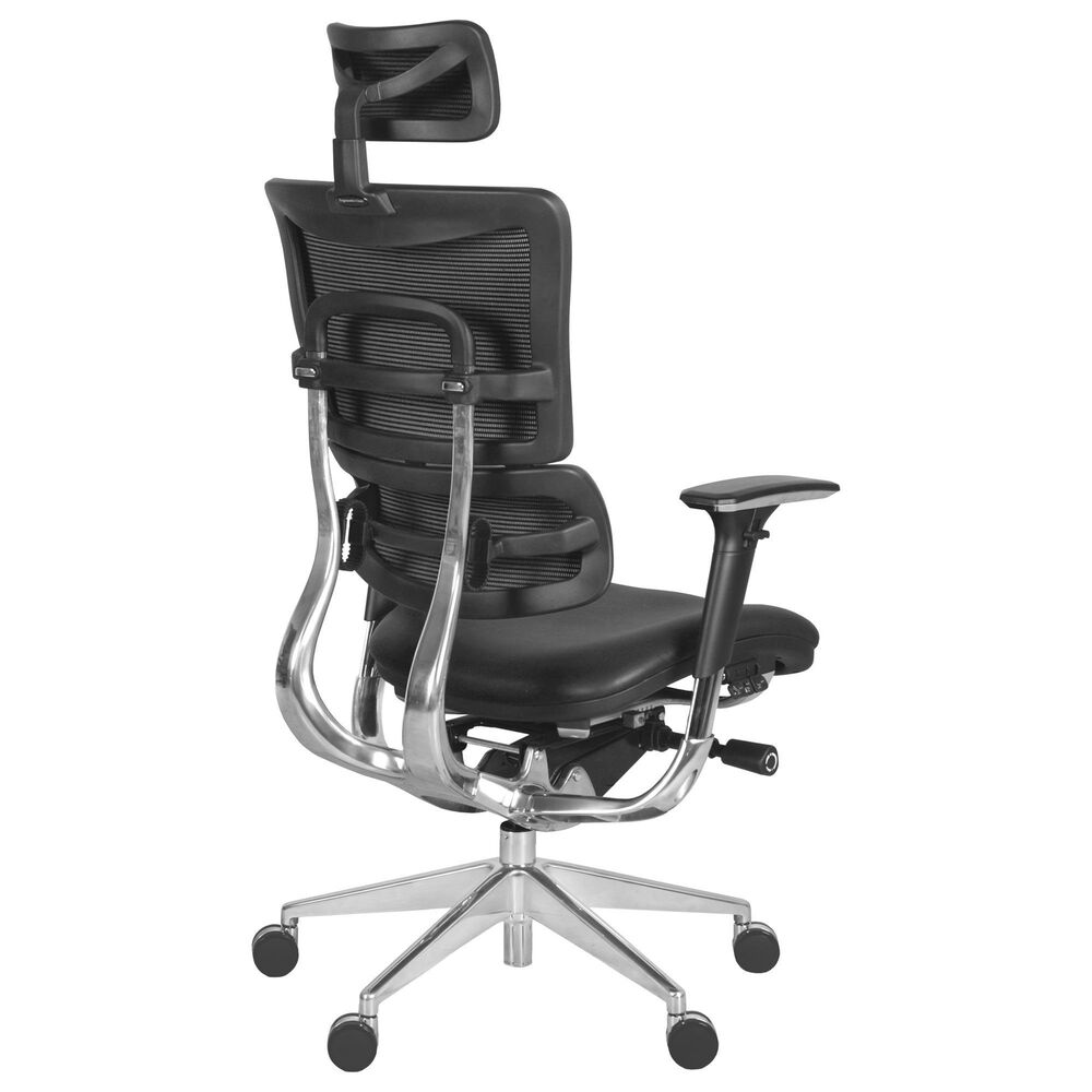 Regency Global Sourcing Omega Ergonomic Executive Office Chair in Black, , large