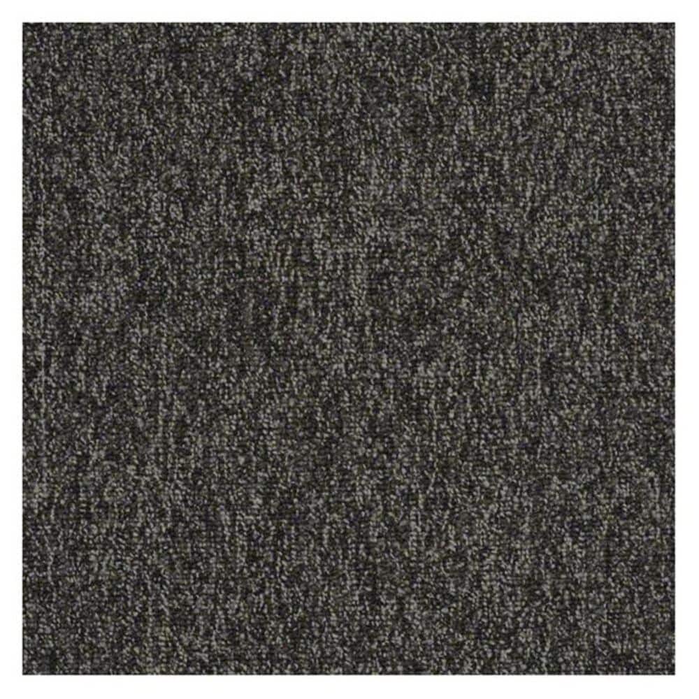 Shaw Multiplicity Carpet in Volume, , large