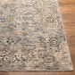 Surya Aspendos 10" x 13"11" Gray, Denim, Wheat, Taupe, Black and Cream Area Rug, , large