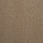 Dixie Home Galliard Carpet in Avenue, , large