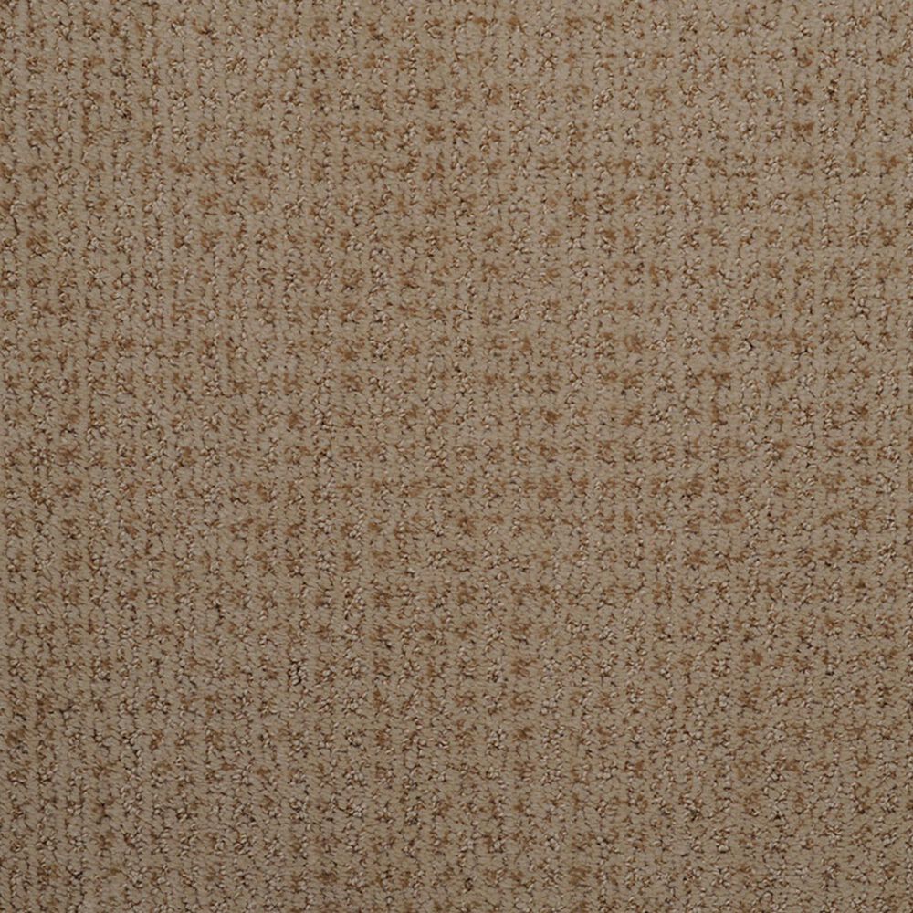 Dixie Home Galliard Carpet in Avenue, , large