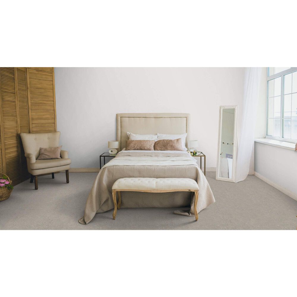 Dixie Home High Hopes Carpet in Stone Path, , large