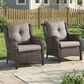 Sunwell Garden Patio Chair with Brown Frame in Gray (Set of 2), , large