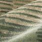 Feizy Eden Green 12" x 15" Area Rug, , large