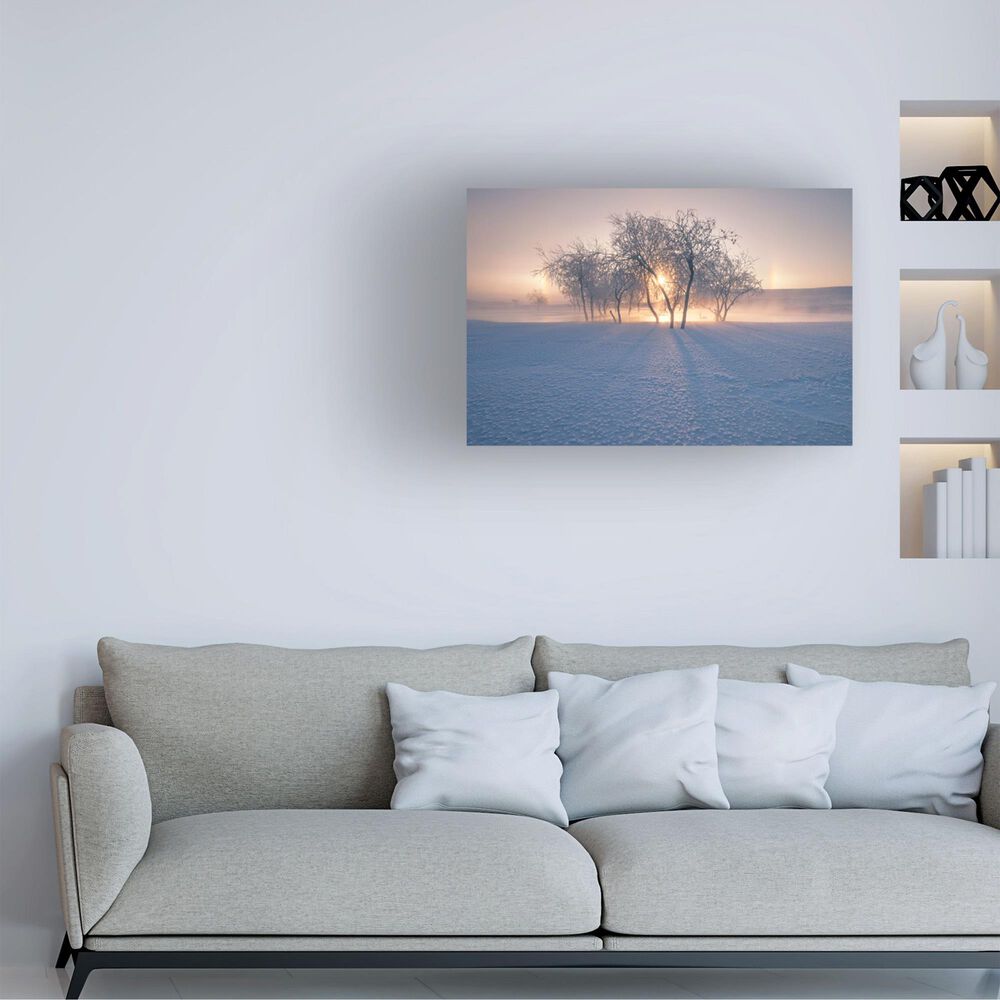 Timberlake Bingo Z 'Swan Lake' 30" x 47" Canvas Art, , large