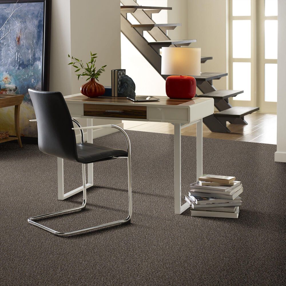 Philadelphia Mixed Essentials Carpet in Raven, , large