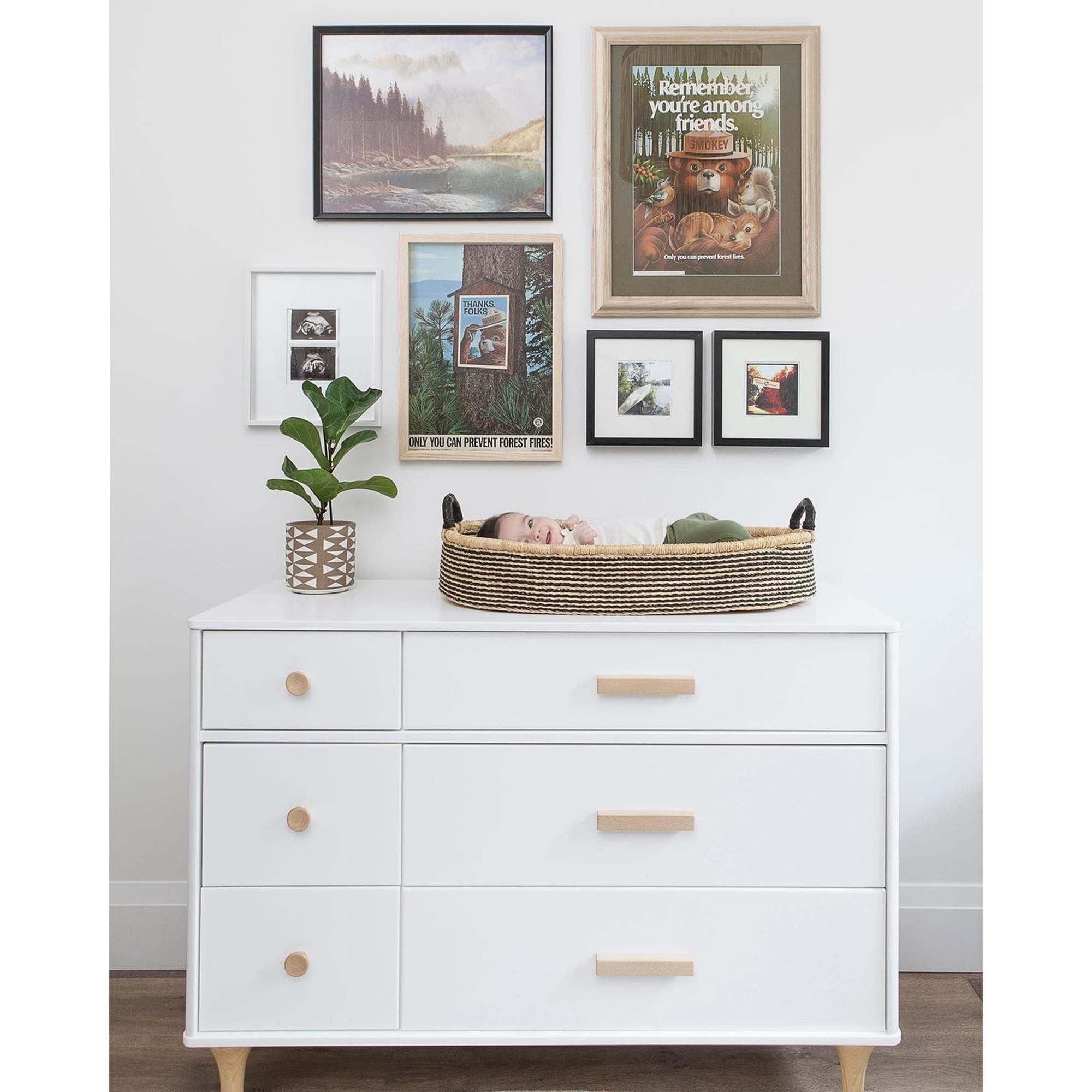 Babyletto Lolly 6 Drawer Double Dresser in White and Natural Shop NFM