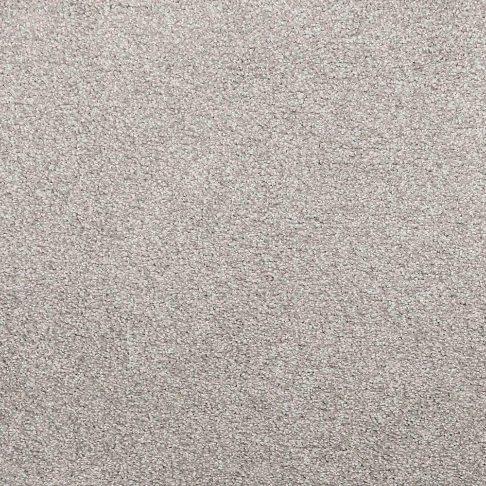 Mohawk Luxuriant Life Carpet in Lincoln, , large