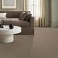 Anderson Tuftex Terra Nova Carpet in Landscape, , large